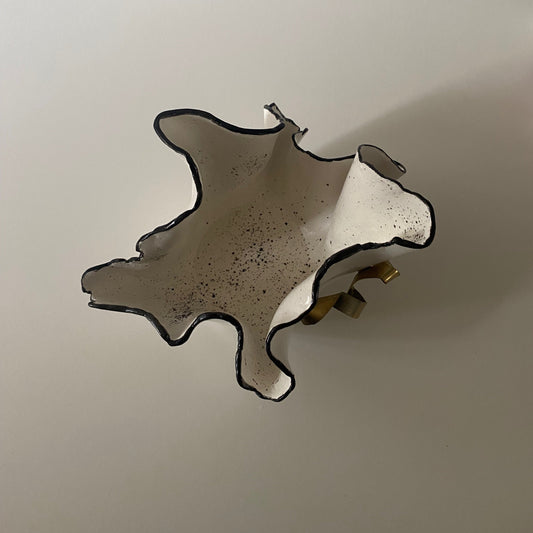 Contour doré